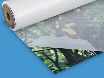 Japan Glassine Paper Industry Poised for Steady Growth Amid Innovation and Sustainability Initiatives