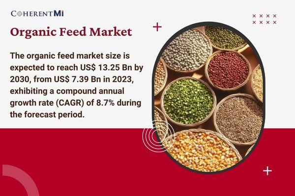 Organic Feed Market