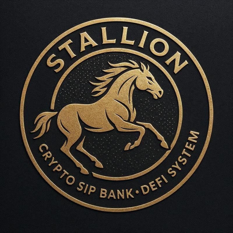 Stallion Holdings LLC: Building Trust, Technology and Transformation for the Future of Finance