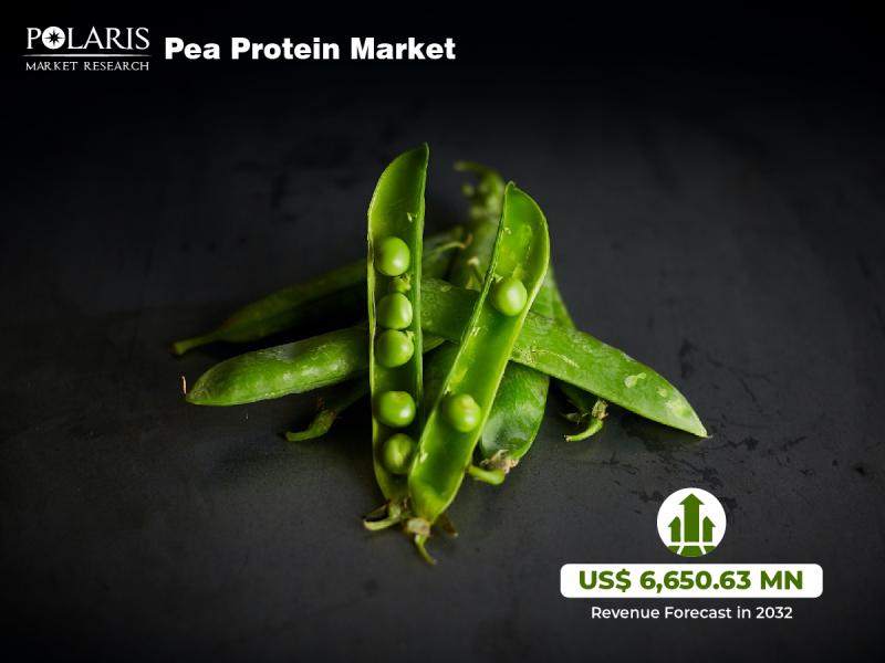 Pea Protein Market