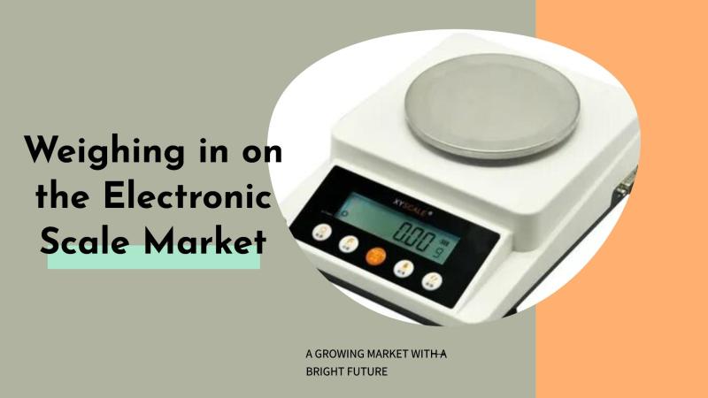 Electronic Weighing Scale Market