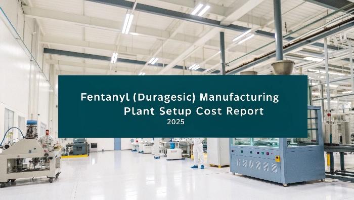 Fentanyl (Duragesic) Manufacturing Plant: Machinery, Raw Materials, and Supplier Insights for Optimal Production
