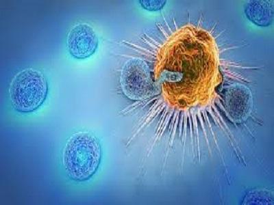 Cancer Immunotherapy Market Size to Reach US$ 261.74 Billion by 2033 at 7.9% CAGR