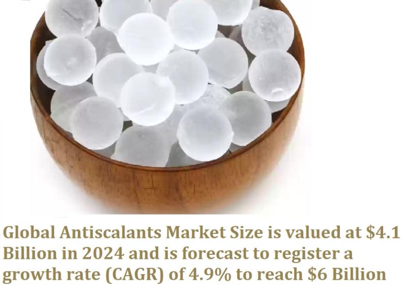 Antiscalants Market