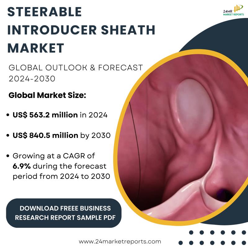 Steerable Introducer Sheath Global Opportunity Analysis and Industry Forecast, 2024-20