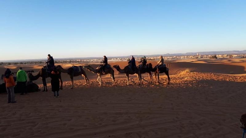 Face Tours Morocco - your gateway to authentic, luxury, and cultural travel experiences across the Kingdom of Morocco. 🇲🇦✨