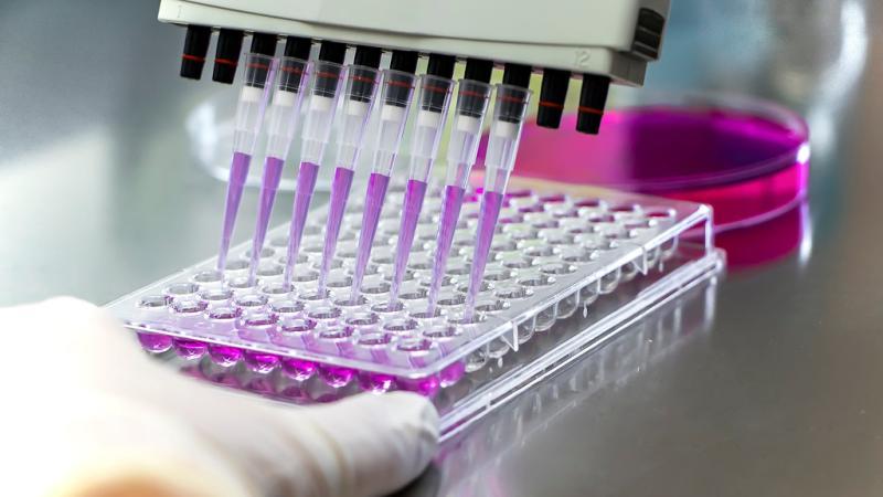 Companion Diagnostics Market Insights 2025: FDA Approvals, Molecular Testing, and Integrated Therapeutic Ecosystems Boost Adoption