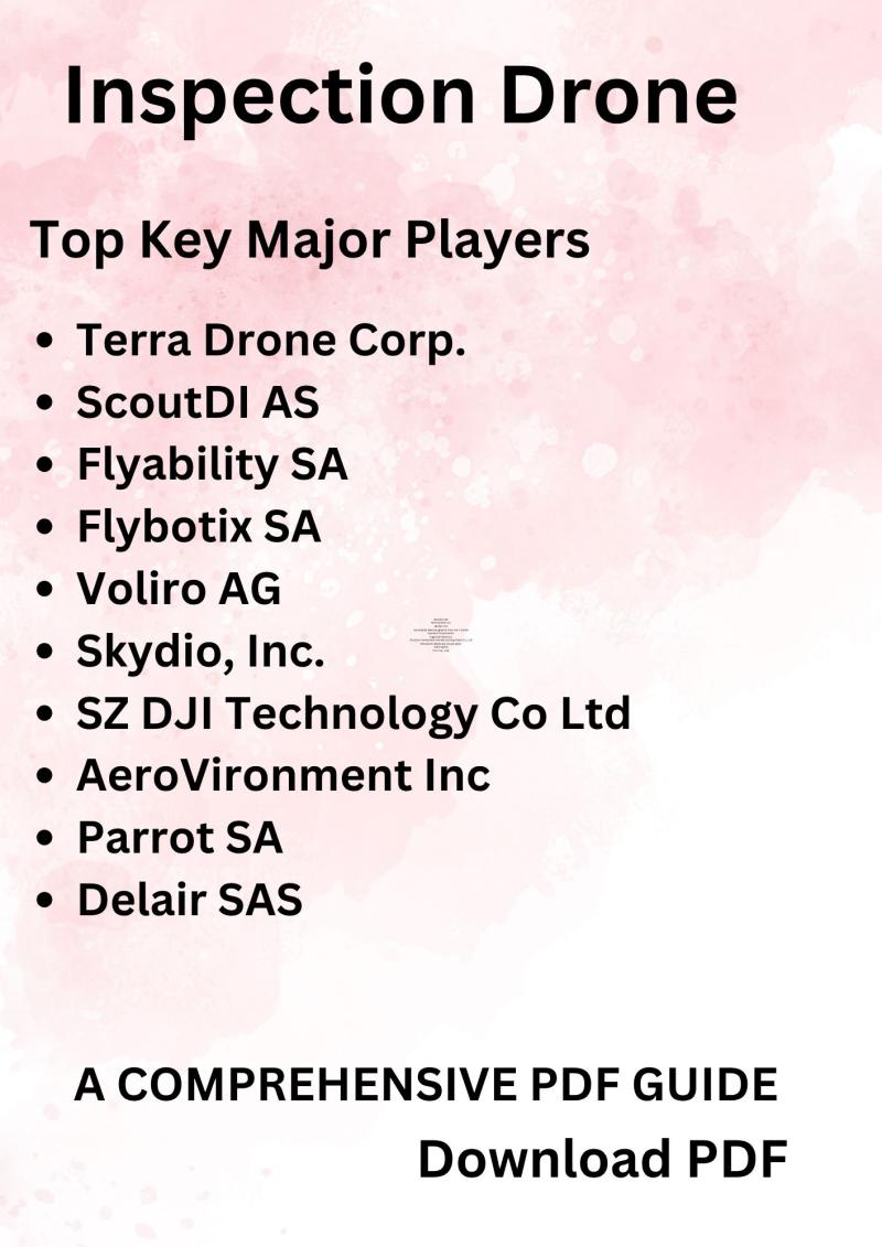 Inspection Drone Market Research Report: Global Trends & Competitive Landscape 2031