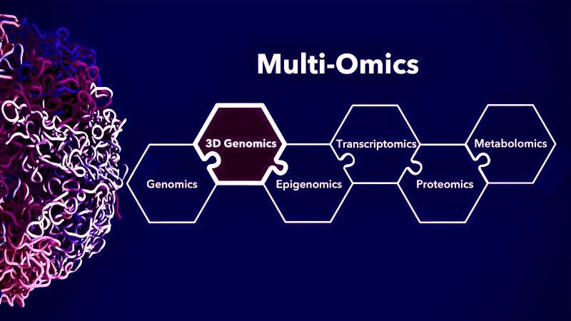 United States Multi-Omics Market 2024-2033: Transforming Precision Medicine & Drug Discovery | Top Companies are Thermo Fisher Scientific Inc., Illumina, Inc., Danaher Corporation