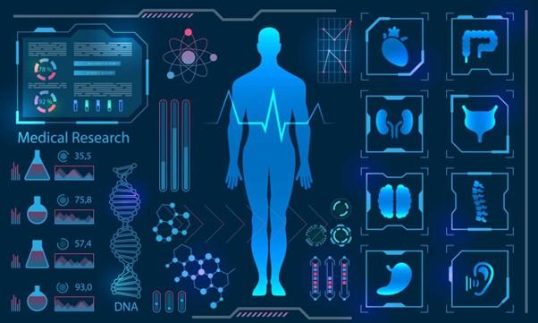 Digital Twins in Healthcare Market to Surge to US$ 12.41 Billion by 2033 on AI and IoT Integration