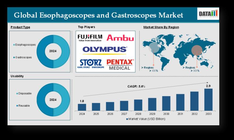 United States Esophagoscopes and Gastroscopes Market 2025 | Growth Drivers, Market Forecast, Competitive Landscape & Business Opportunities