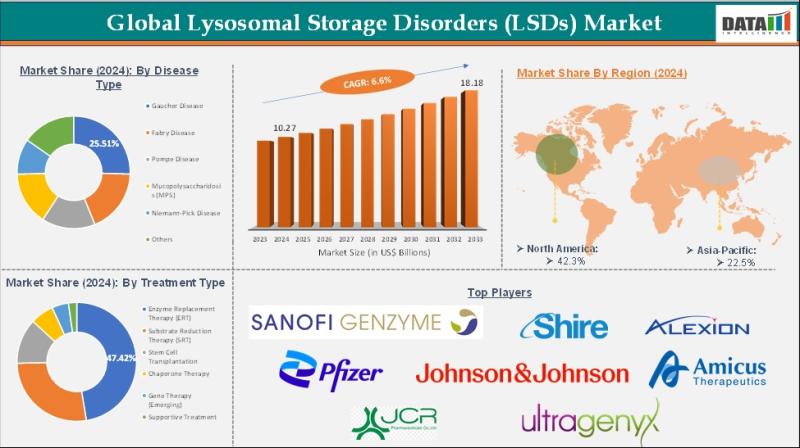 United States Lysosomal Storage Disorders Market 2025 | Market Forecast, Trends & Strategic Insights