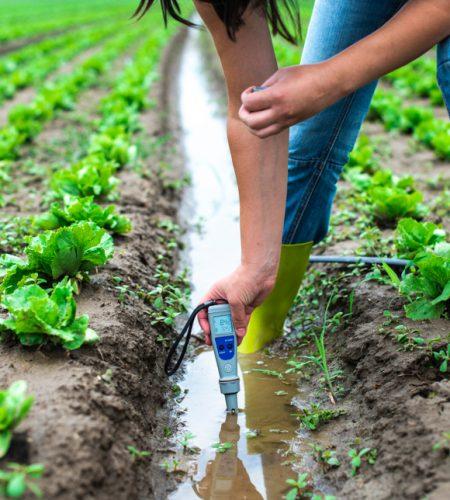 Agricultural Testing Market Projected to Reach Approximately USD 11-14 Billion by 2034
