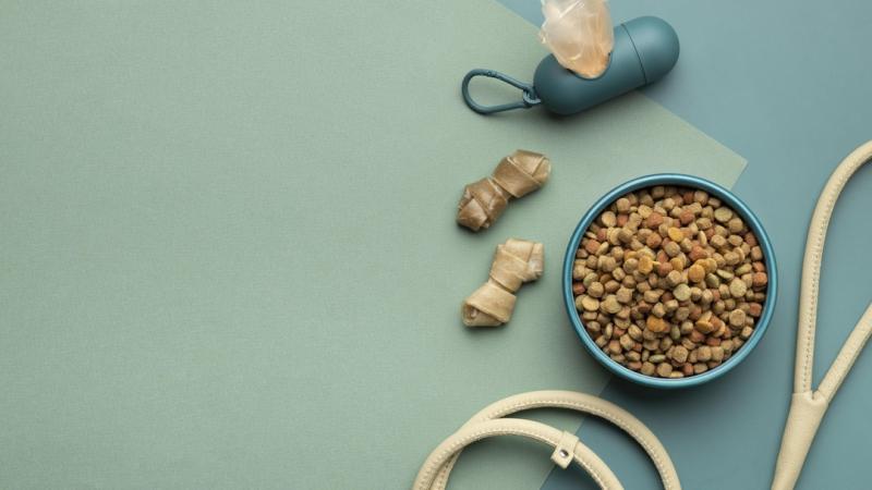 United States Pet Supplements Industry Sector: Key Stats & Forecasts Up to 2033 | Most Leading Companies - NuVet Labs, Tomlyn, Nestlé Purina, Hill's Pet Nutrition, Inc., Virbac, Elanco, and FOODSCIENCE