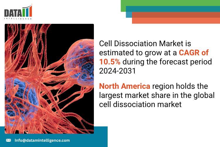 Cell Dissociation Market 2025 | Industry Developments, Future Growth, Share & Industry Insights | Merck, Thermo Fisher Scientific, Becton, Dickinson and Company