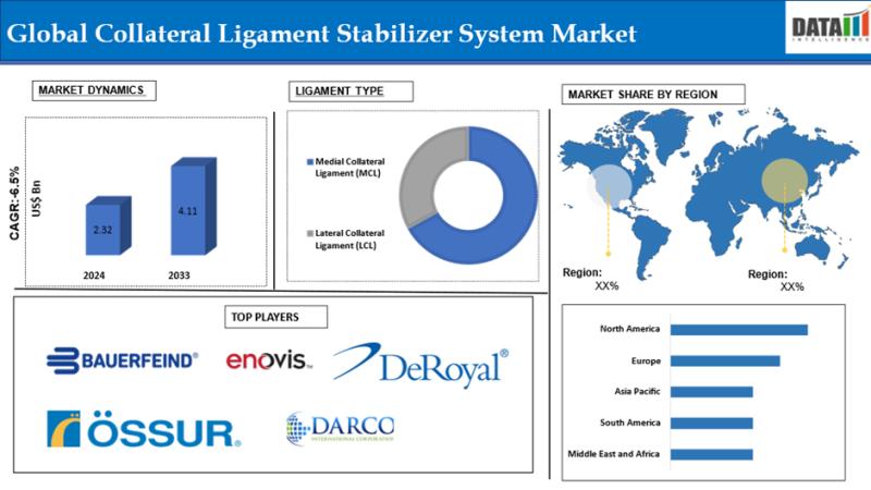 United States Collateral Ligament Stabilizer System Market 2025 | Growth Drivers, Key Players & Investment Opportunities