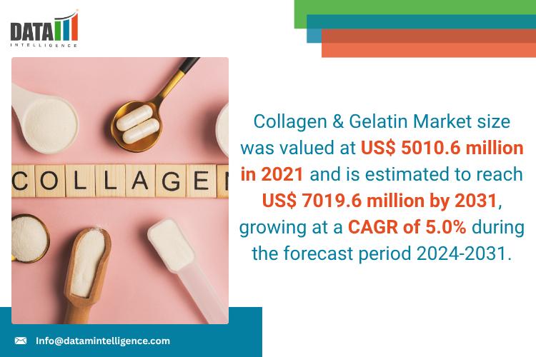 United States Collagen & Gelatin Market 2025 | Industry Developments, Future Growth, Share & Industry Insights