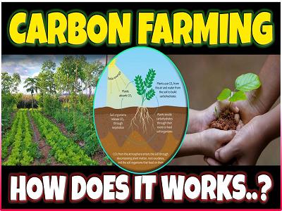 Carbon Farming Market to Soar to US$ 330.01 Billion by 2032, Driven by Climate Goals and Sustainable Agriculture