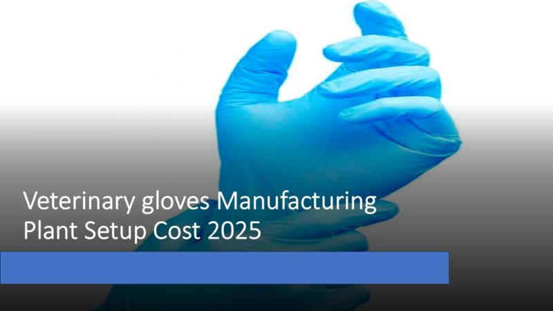 Veterinary Gloves Manufacturing Plant Cost 2025: Setup Details, Capital Investments, and Business Plan
