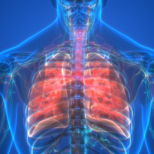 United States and Japan Lead 2025 Idiopathic Pulmonary Fibrosis Innovation with Clinical Trials and Biomarker Research | Top Companies are Roche Holdings AG, Boehringer Ingelheim GmbH, Genentech Inc.