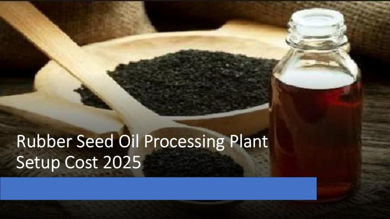 Rubber Seed Oil Processing Plant Setup 2025: Market Trends, Machinery, and Investment Cost