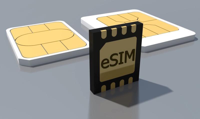 United States eSIM Adoption Accelerates Across Smartphones, IoT, and Connected Devices | Top Companies are Infineon Technologies AG, NXP Semiconductors N.V., STMicroelectronics.