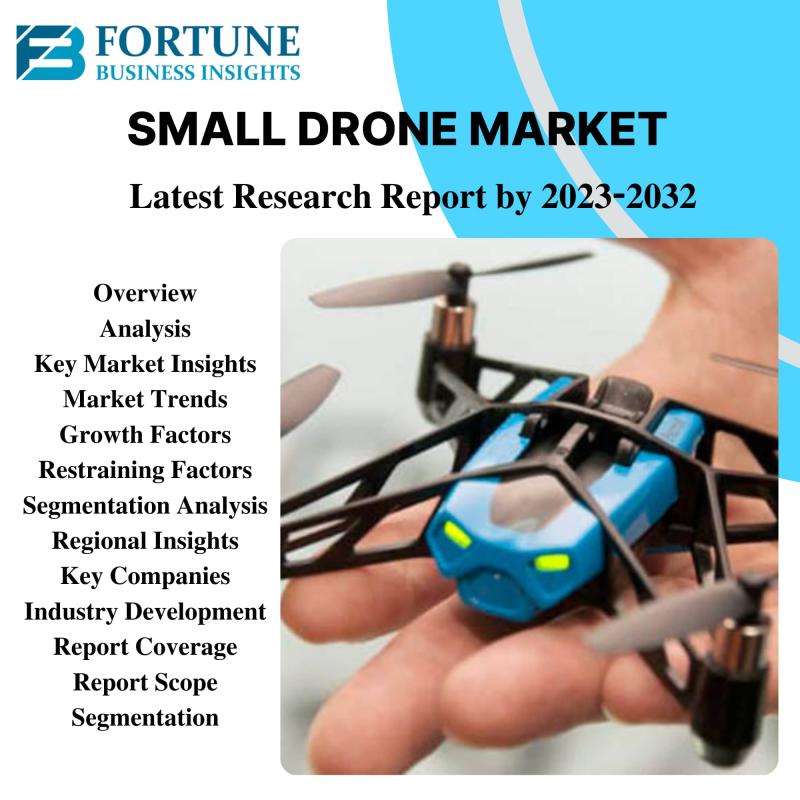 Small Drones Market