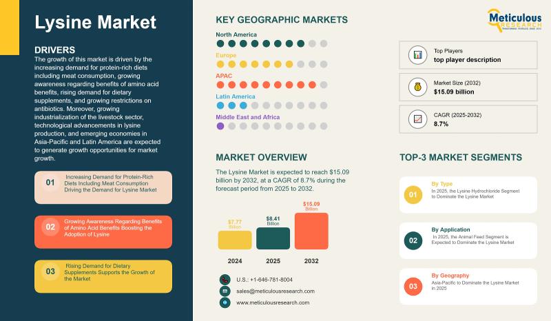 Lysine Market Size, Growth Outlook, and Emerging Trends (2025-2032)