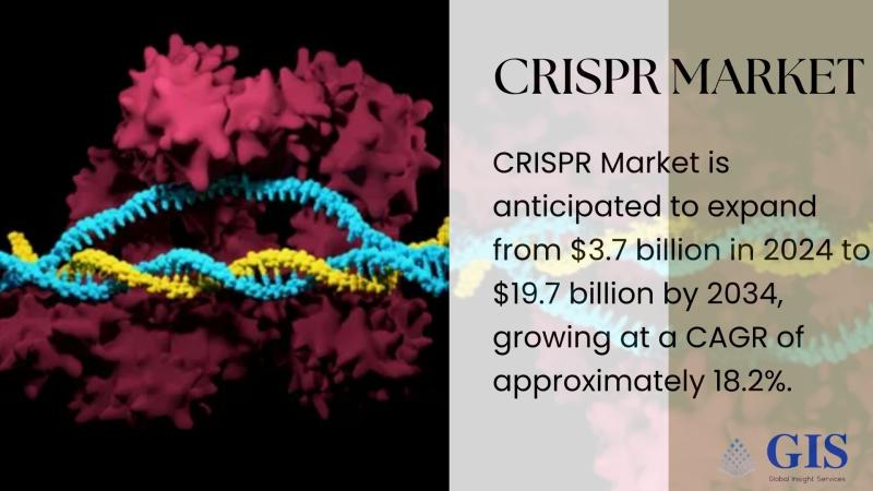 CRISPR Market Size, Share, Recent Developments, Growth Insights, and Forecast to 2034 | Key Players: Editas Medicine, CRISPR Therapeutics, Intellia Therapeutics