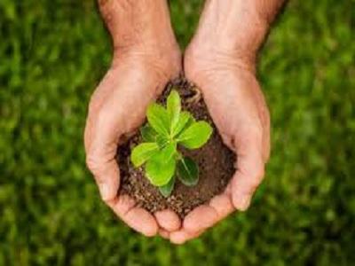Sustainable Agriculture Market Size to Reach US$ 33.88 Billion by 2032, Fueled by Agri-Tech Adoption and Organic Demand