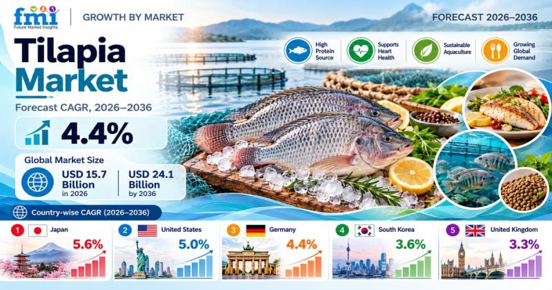 Tilapia Market
