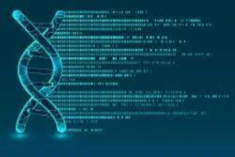 DNA and Gene Cloning Services Market Projected to Reach USD 5.96 Billion by 2034