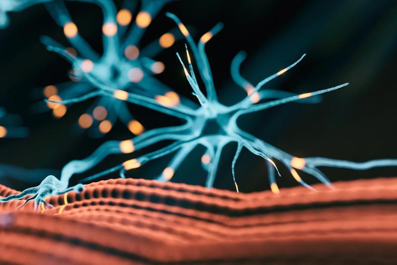 Neuromuscular Disease Therapeutics Market Growth 2025-2033: Novel Biologics, Small-Molecule Modulators, and Personalized Therapies