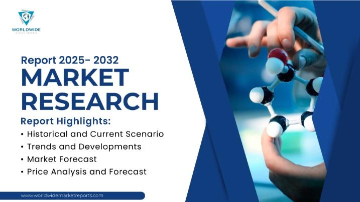 Intelligent Elderly Care Solution Market Future Business Opportunities 2025-2032