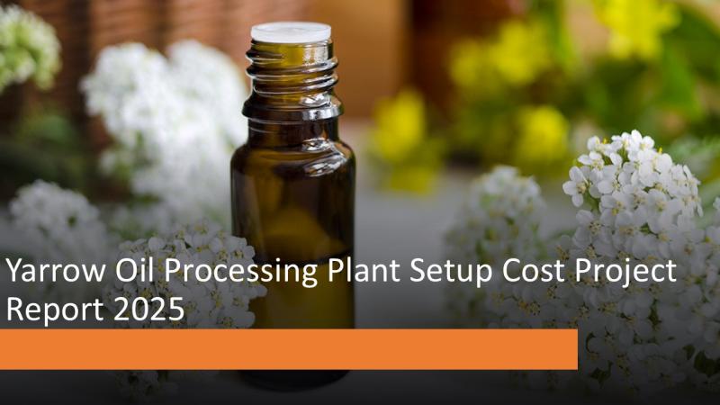 Unlock Profitable Yarrow Oil Processing Plant Expansion with a Feasibility Report from IMARC Group