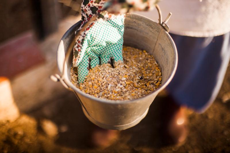 Thailand Animal Feed Market Size, Share, Trends, Analysis and Forecast 2025-2033