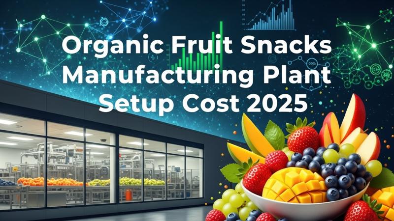 Organic Fruit Snacks Manufacturing Plant Project Report 2025