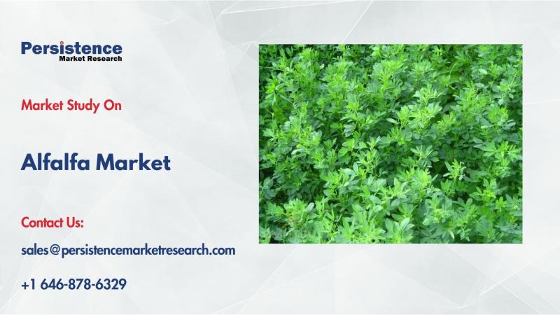 Alfalfa Market to Reach US$38.2 Bn by 2032 | Driven by Rising Feed & Nutritional Demand