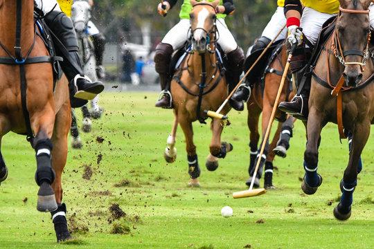 Polo Game Shirt Market is Booming Worldwide | Major Giants- Gucci, Prada, Tommy Hilfiger, Lacoste