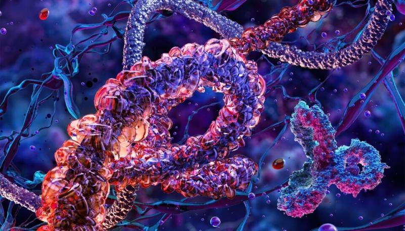 United States Protein Therapeutics Market to Reach USD 657.12 Billion by 2033, Growing at 6.6% CAGR | Abbott Laboratories, Amgen Inc., Baxter International Inc.