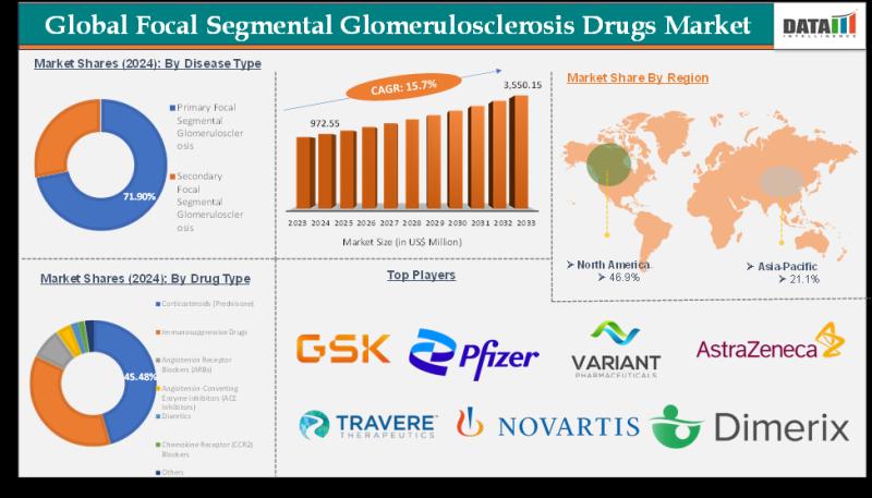United States Focal Segmental Glomerulosclerosis Drugs Market valuation $3.55 billion by 2033 - Exclusive Report by DatamIntelligence
