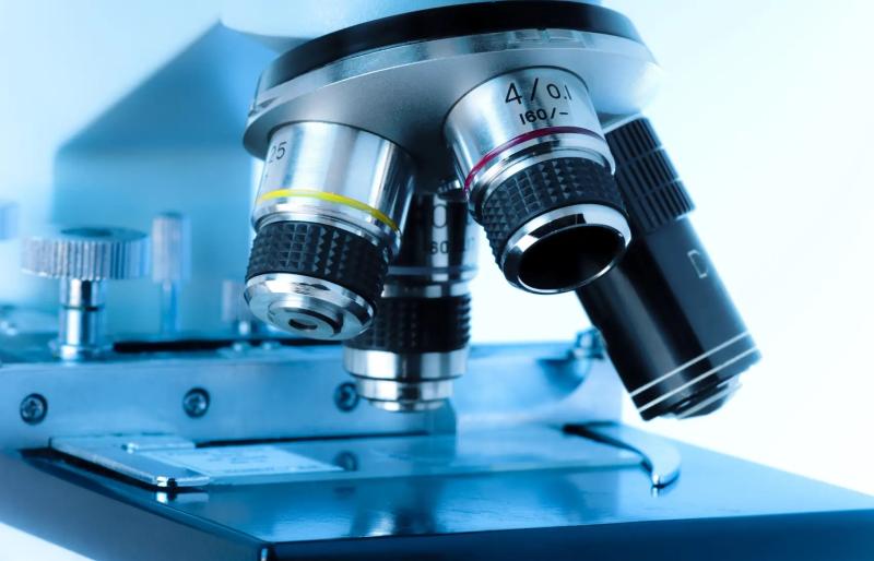 United States Microscopy Device Market Expands at 5.9% CAGR | Innovation Transforms Research & Diagnostics | Hitachi Ltd, Bruker Corporation, Carl Zeiss