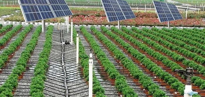 United States Solar Powered Irrigation Industry Sector to hit US$112.24 billion by 2031 | Most Leading Companies - SunCulture, Wien Energie GmbH, Bright Solar Limited, Netafim and Grundfos Pumps India Private Ltd