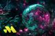 Polkadot Price Prediction: Remittix Rallys As 40,000 Investors Join Viral ICO After Analysts Predict 25x Gains Before Janaury