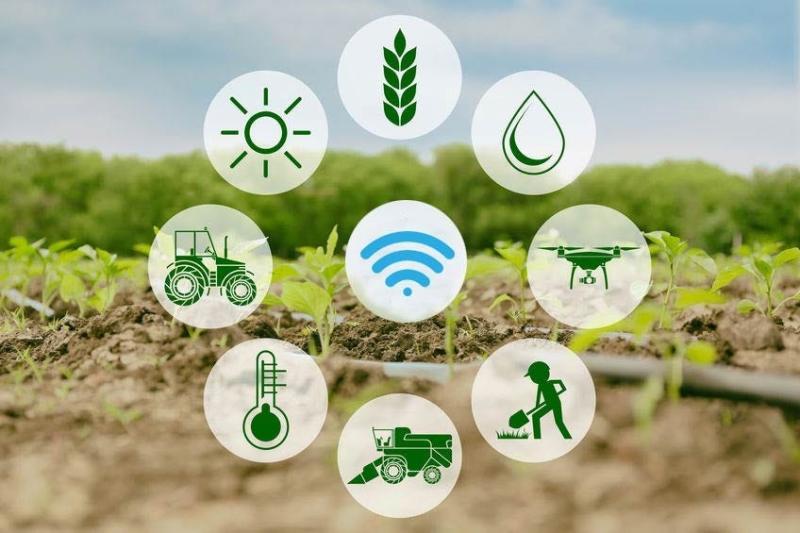 Blockchain In Agriculture And Food Supply Chain Market Is Going To Boom: IBM, Microsoft, SAP-SE