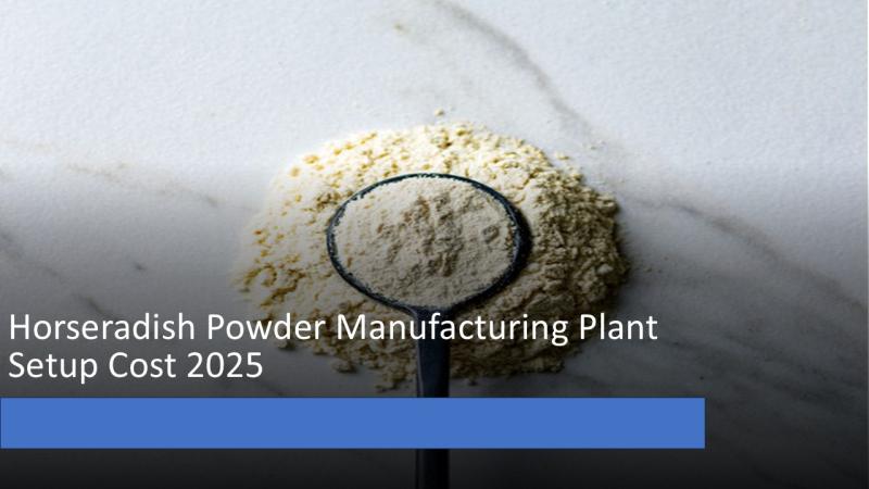 Horseradish Powder Manufacturing Plant Setup 2025: Raw Material List, Machinery Cost and Industry Trends