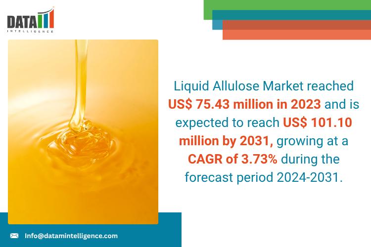 United States Liquid Allulose Market 2025 | Growth Drivers, Competitive Landscape & Investment Opportunities