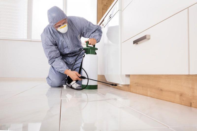 United States Pest Control Market 2025 | Industry Developments, Future Growth, Share & Industry Insights