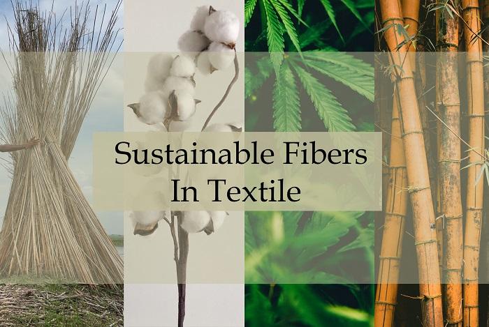 United States Sustainable Fibers Industry Sector 2025: Eco Fashion, Circular Economy & Textile Innovation Trends