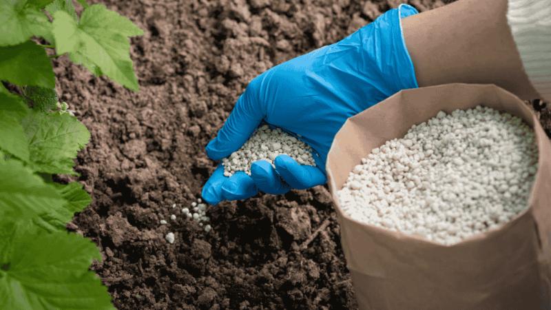 Fertilizer Industry in India: Market Size, Share, Demand, Forecast & Outlook Report by 2033